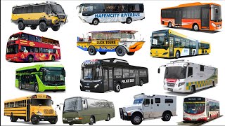 Learn Names of Means of Transport | Electric Bus, Convertible, Travel, Police, Airport, Military Bus