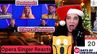 Opera Singer Reacts to Pentatonix 