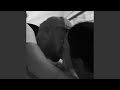 Quiet Love