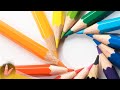 Best Beginner & Advanced Colored Pencils For Detailed Drawings