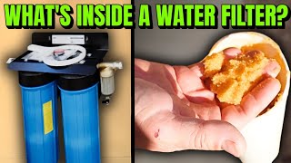 The Best Off Grid Water System: ISpring