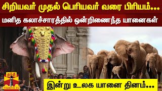 சிறியவர் முதல் பெரியவர் வரை பிரியம்... மனித கலாச்சாரத்தில் ஒன்றிணைந்த யானைகள் |உலக யானை தினம்...