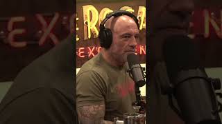 This MMA move is BANNED: #ufc #joerogan #shorts
