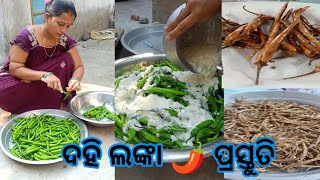 ଦହି ଲଙ୍କା 🌶️🌶️ ପ୍ରସ୍ତୁତି। ପଖାଳ ସାଙ୍ଗେ ଭାରି ଜମିବ 👌😋.. #dahilanka#vlog #vlogvideo #youtuber #viral