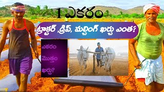 1 acre మల్చింగ్ పేపర్,డ్రిప్ సాగు విధానం||Tomato sagu|| mulching sheet||