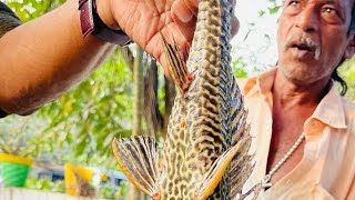 KARIMPUZHA, RIVER WONDER  FISH