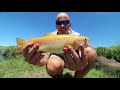 Catch n' Cook Fried Bullfrogs & GOLDEN Trout!