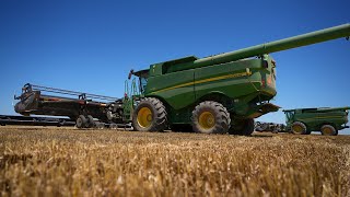 Racing The Wheat Harvest Rain