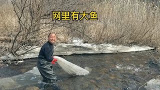 东北林区山泉水河流捕鱼，捕到的林蛙又大又肥，还有3条最美河鲜【东北林区艾三】