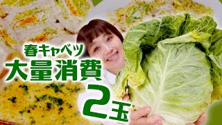 【大食い】【大量消費】春キャベツ ！4kg超！ 巨大メンチカツ・クリームパスタ・わんぱくサンド・やみつきキャベツ【ロシアン佐藤】【RussianSato】