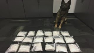 Porterville Police, DEA bust large drug trafficking ring