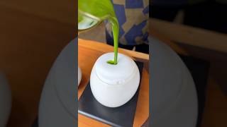 ふわっと浮き出る魔法の抹茶ラテ🍵砂糖不使用なので抹茶本来の甘みが楽しめる【茶舗ふりゅう】#福岡グルメ #japanesefood #shorts