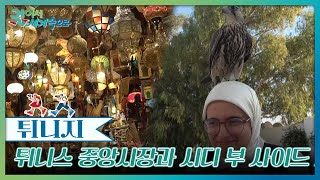 즐거움이 가득한 튀니스 중앙시장과 시디 부 사이드 거리 [걸어서 세계속으로] | KBS 241026 방송