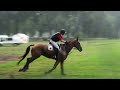 rob everaert u0026 etamoro eventing merksplas 2014