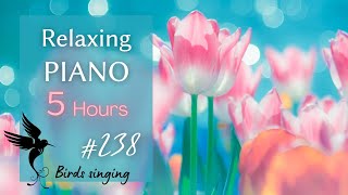 ピアノBGM ５時間 ♫（途中広告なし）リラックス・マッサージ  |  Relaxing Piano Music: Massage, Sleep, Yoga