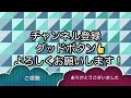 コツメカワウソ③【市川市動植物園】マロンちゃん エサやりタイム！かわいい顔 2022.8.3【水族館・動物園の生き物動画】千葉 otters japan zoo