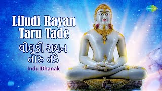 લીલુડી રાયન તારુ તડે ~ Liludi Rayan Taru Tade | Indu Dhanak | Jain Stavan | New Jain Stuti 2023