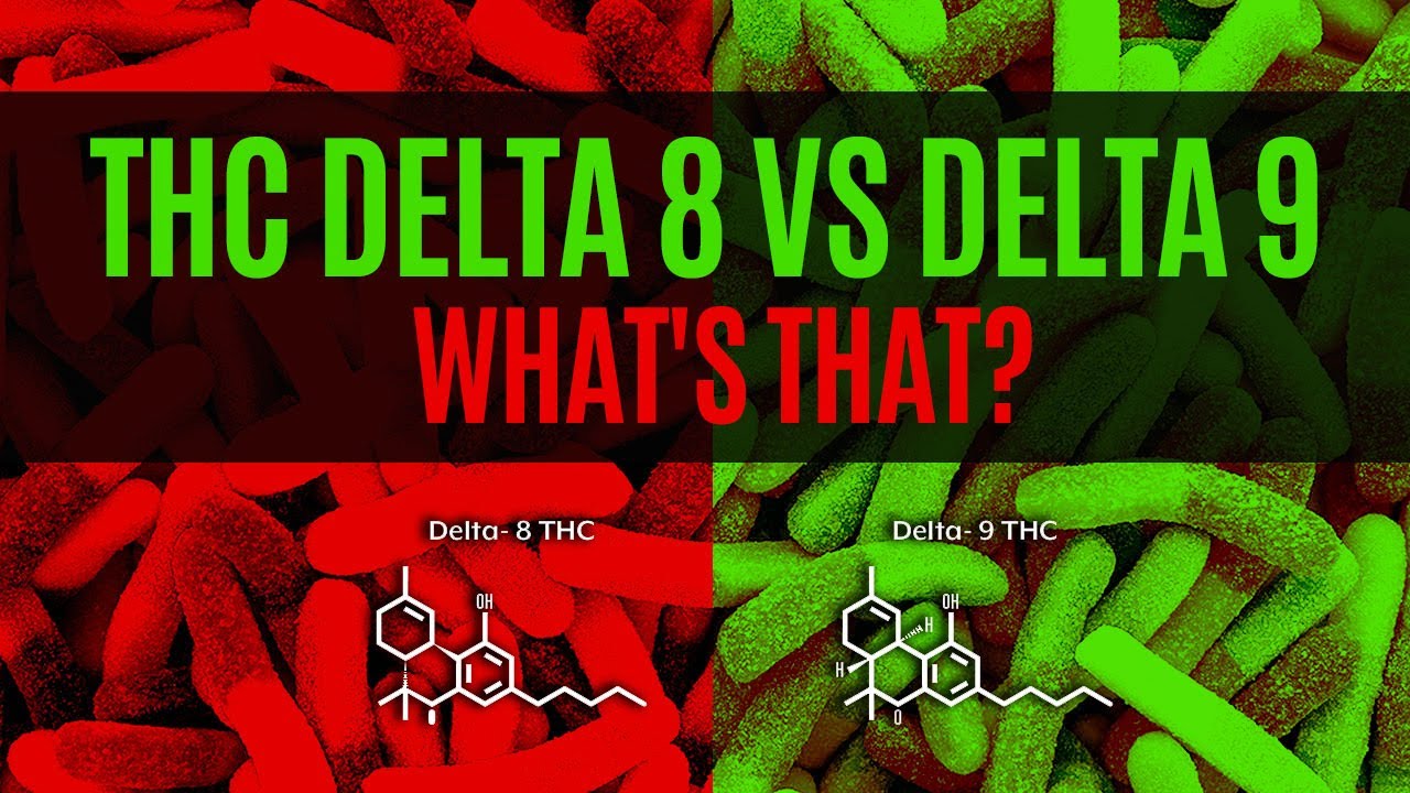 What S The Difference Between Delta 8 And Delta 9 Thc Observer – Otosection