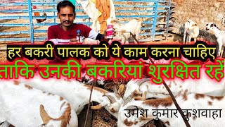 #goatdeworming#bakripalan#umeshkumarkushwaha   ये तारिकाअपनाएं शुरक्षित बकरी पालन करें ।