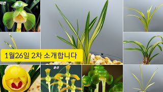 1월26일 2차 소개합니다.