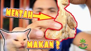 MAKAN KERANG MENTAH! Review Rasa Kerang Air Tawar / Kijing Mentah - Mentah!