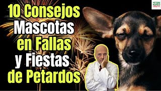 🐶🔥 10 CONSEJOS PARA MASCOTAS CON MIEDO A PETARDOS EN FALLAS Y OTRAS FIESTAS 🎆🐱