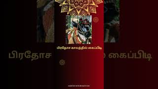 சனி தோஷம் நீக்கும் பிரதோஷம் #sivan #pradhosam #nandi #god #templesoftamilnadu #tamil #anmeegam