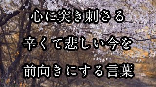 辛くて悲しい今を前向きにする言葉#名言 #名言集 #心に響く言葉