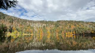 Der Feldsee (Kurzfassung - im Zeitraffer) #feldberg