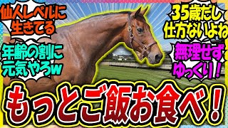 『大丈夫？ナイスネイチャ食べる量が極端に減っている様子…』に対するみんなの反応集【ウマ娘プリティーダービー 競馬の反応集】