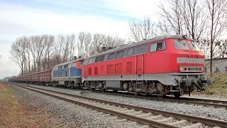 218 450 u  225 079 der LWB rangieren in Quedlinburg