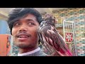 cycle driver vlog 😭 cycle kharab 🤢 ho gyi 😡 solo 5000km cycle ride dabru ke sath 🥰 @rrajeshvlogs