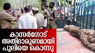 ജീവന്‍രക്ഷിക്കേണ്ട ഡോക്ടര്‍മാര്‍ എത്താന്‍ പത്തുമണിക്കൂര്‍ വൈകി I Tiger issues in kasaragod