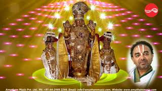 Divya Desa Vaibhavam( Thiruvellarai) -  Sri U.Ve.Velukkudi Krishna Swamy (Full Verson)