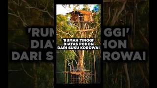 Suku Korowai \u0026 Tradisi Unik Rumah Tinggi Diatas Pohon