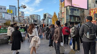 【高画質FHDお散歩ライブカメラ】新宿　散歩　Shinjyuku walking【live camera】2024/12/30