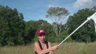 Woman waving white flag in a field