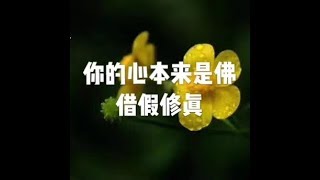 201808 你的心本来是佛　借假修真50637