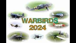 Warbirds 2024 - worth seeing displays