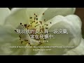 2024_7_23 等候神聚會 Wait Upon God Service | [雅歌1:13 一袋沒藥，安慰、保護神的心] 之揚帶領