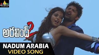 Aravind 2 Video Songs | Nadumaribia Beach Video Song | Srinivas, Madhavi Latha | Sri Balaji Video