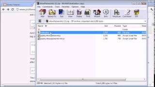 jQuery Tutorial 117 Show password plugin