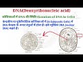 dna और rna में अंतर differences between dna and rna khan gs research center dna