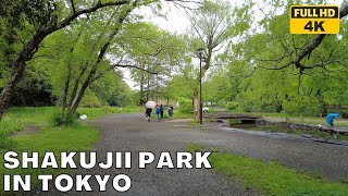 [4K]Walking Tokyo☔️Shakujii Park, One of the biggest park in Tokyo (April 24, 2022)