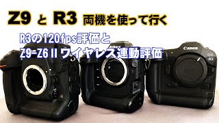 #220429 EOS R3 120fps評価　と　Z9-Z6Ⅱワイヤレス連動評価