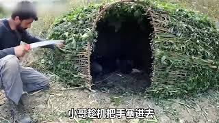 一人一狗完美生活，庇护所野外建造，内置壁炉可烧水和供暖！