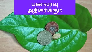 🌿பணவரவு அதிகரிக்கும் எளிய வெற்றிலை பரிகாரம் செய்யுங்கள் Money increase Simple Betel Leaf Parikaram