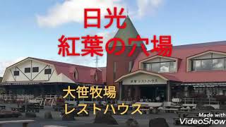 日光　紅葉の穴場　霧降高原「大笹牧場　レストハウス」　ジンギスカン　(栃木県日光市)