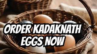 Want FRESH Kadaknath Eggs? Watch This Now!