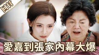 《好戲回甘》愛的榮耀 EP214 愛嘉到張家內幕大爆